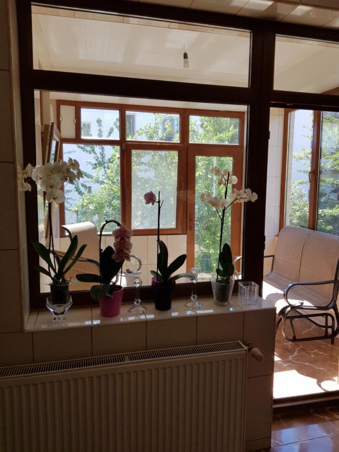 Dativo House Năvodari Kültér fotó