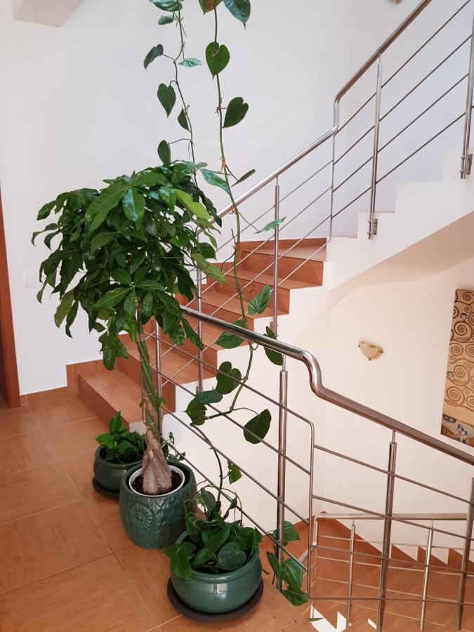 Dativo House Năvodari Kültér fotó