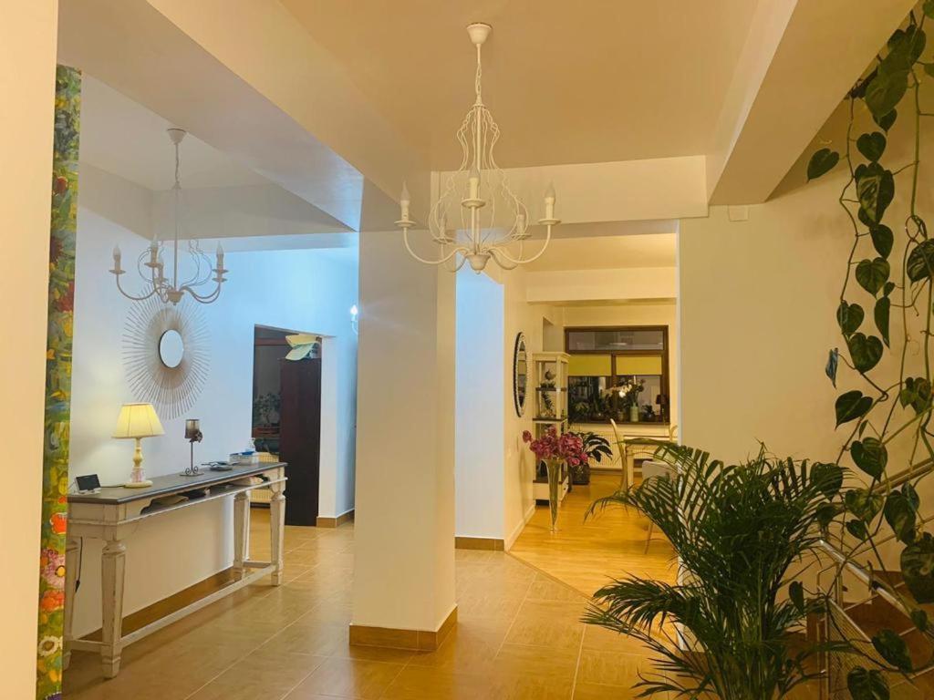 Dativo House Năvodari Kültér fotó