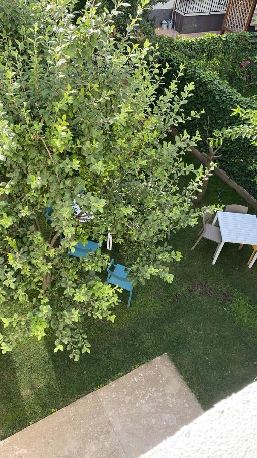 Dativo House Năvodari Kültér fotó